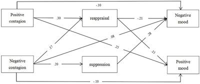 Universality vs. Cultural Specificity in the Relations Among Emotional Contagion, Emotion Regulation, and Mood State: An Emotion Process Perspective